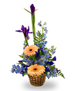 A basket arrangement for a baby boy